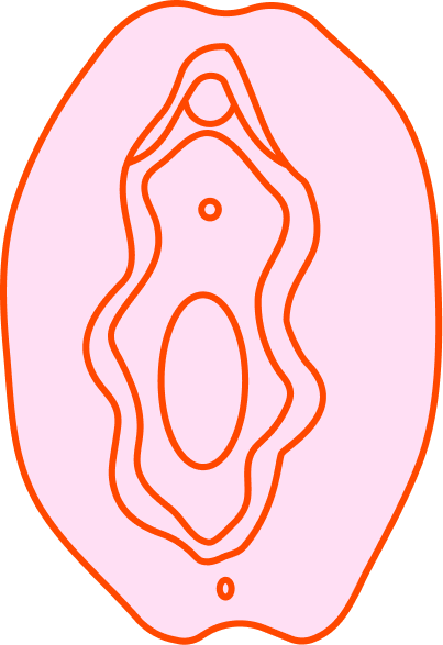 Vulva 6