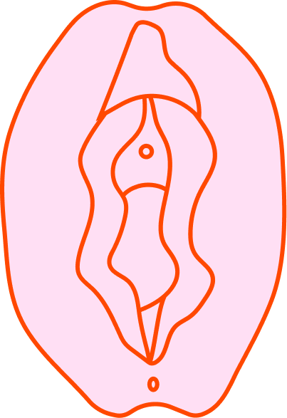 Vulva 7