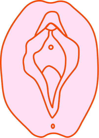 Vulva 5
