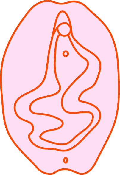 Vulva 8