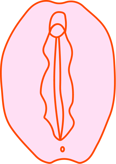 Vulva 2