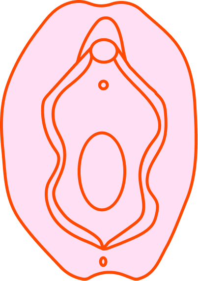 Vulva 3